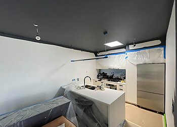 Ron & Robin The Painters