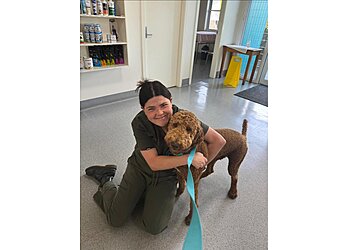 Rose Avenue Vet Hospital