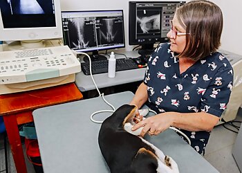 Rose Avenue Vet Hospital