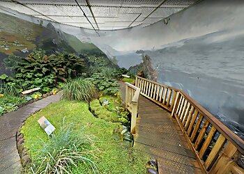 Royal Tasmanian Botanical Gardens