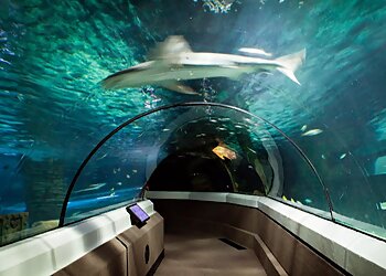 SEA LIFE Sunshine Coast Aquarium