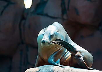 SEA LIFE Sunshine Coast Aquarium