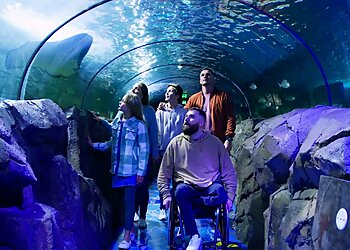 SEA LIFE Sydney Aquarium