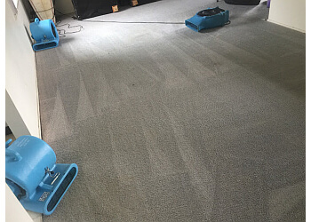 Three best carpet cleaning services in Wollongong
