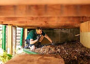 Safeguard Pest Control