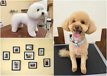 Sakura la Dog Grooming Salon