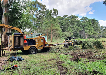 Same Day Trees & Palms