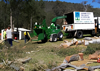 Sapphire Coast Tree Services & Tower Hire