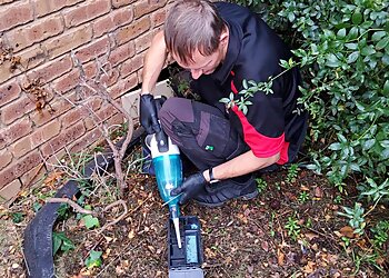 Scorpion Pest Management