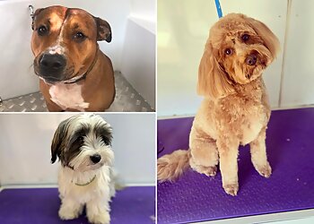 Scruff to Fluff Grooming & Pet Supplies