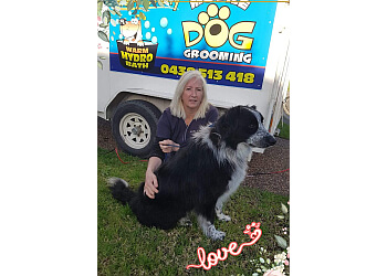 Scruffy to Fluffy Mobile Dog Grooming