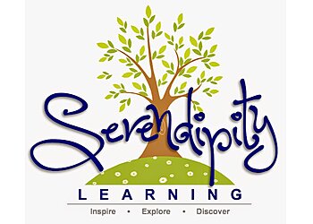 Serendipity Learning