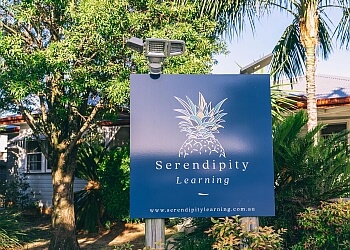 Serendipity Learning