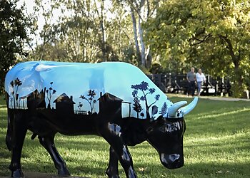 Mooroopna Places To Visit Shepparton Moooving Art image 1