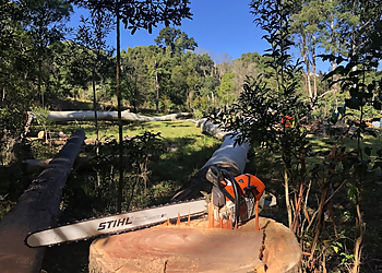 Silky Tree Care Silky Tree Care