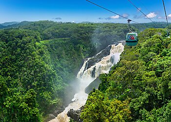 Skyrail Rainforest Cableway