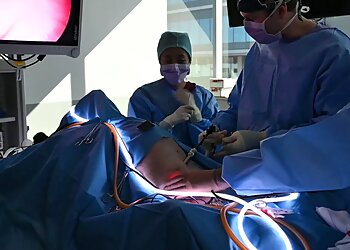 Small Animal Specialist Hospital