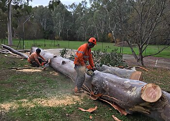 Smith's Tree Services Victoria