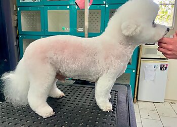 Snuggle Pup & Cuddle Pooch