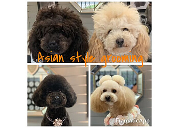 Snuggle Pup & Cuddle Pooch