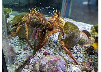 Solitary Islands Aquarium