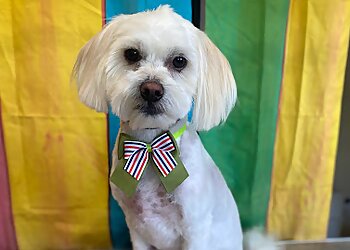 Somerset Dog Grooming