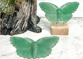 Soul Warrior Collective