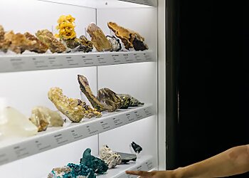 South Australian Museum