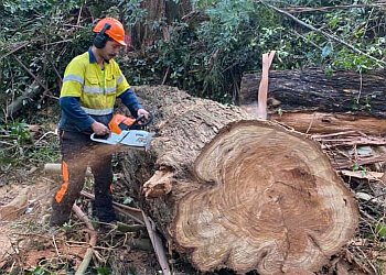 South Eastern Tree Contracting