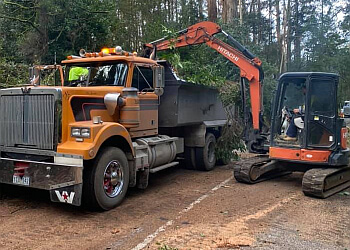 South Eastern Tree Contracting