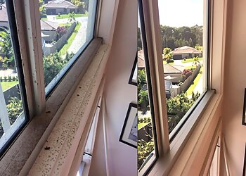 Sparkle Window Cleaning