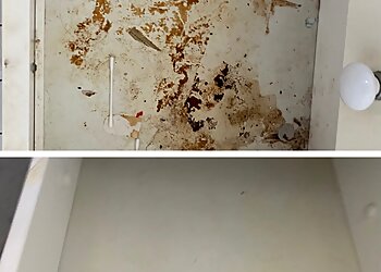 Sparkle and Shine Cleaning with Jess