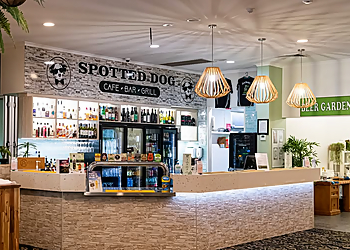 Spotted Dog at Railway Hotel