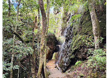 Springbrook National Park