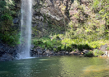 Springbrook National Park