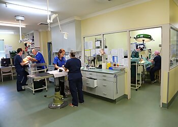 Stewart Street Veterinary Hospital