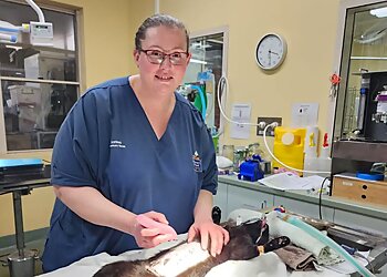 Stewart Street Veterinary Hospital