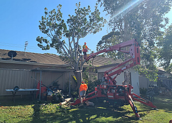 Stump Grinding Central Coast & Tree Services Pty Ltd.