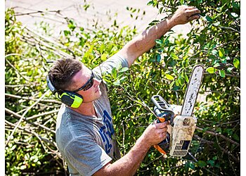 Stump’d Tree Services