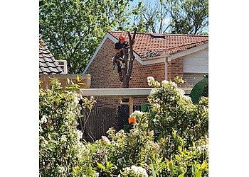 Stump’d Tree Services