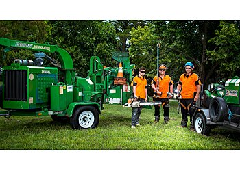 Canberra Tree Services Stump’d Tree Services image 1