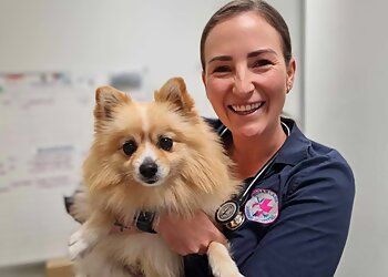 Sugarland Animal Hospital