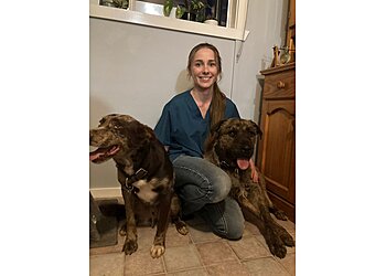 Summer Street Vet Clinic