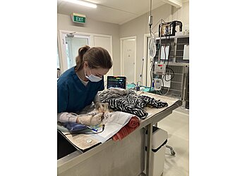 Summer Street Vet Clinic