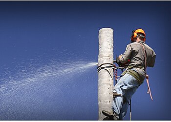 Sun City Trees & Mulch Pty Ltd.