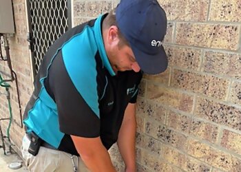 Suresafe Pest Management