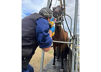 Tamworth Veterinary Hospital