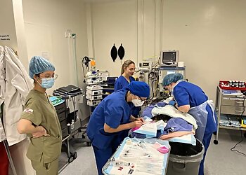 The Animal Hospital At Murdoch University