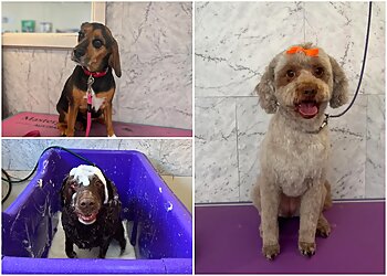 Ballarat Doggie Salon
