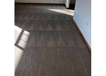 The Carpet Cleaning and Pest Control King